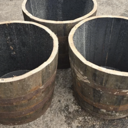 9-Pack of Oak Quarter Cask Barrel Planters (18" x 22") – Includes UK Mainland Delivery