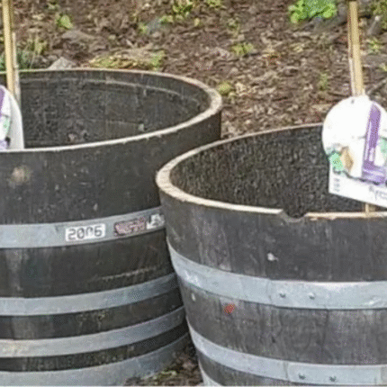 7 Wine Barrel Planters – Rustic Oak | UK Mainland Delivery Included